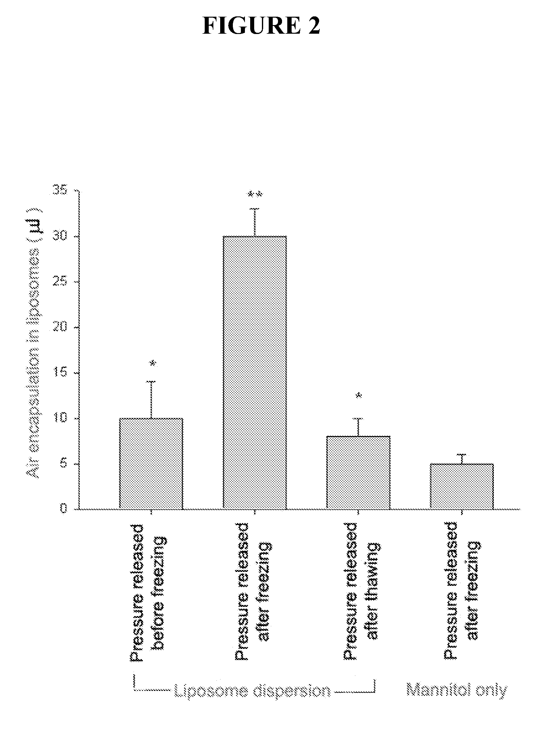 Gas-containing liposomes