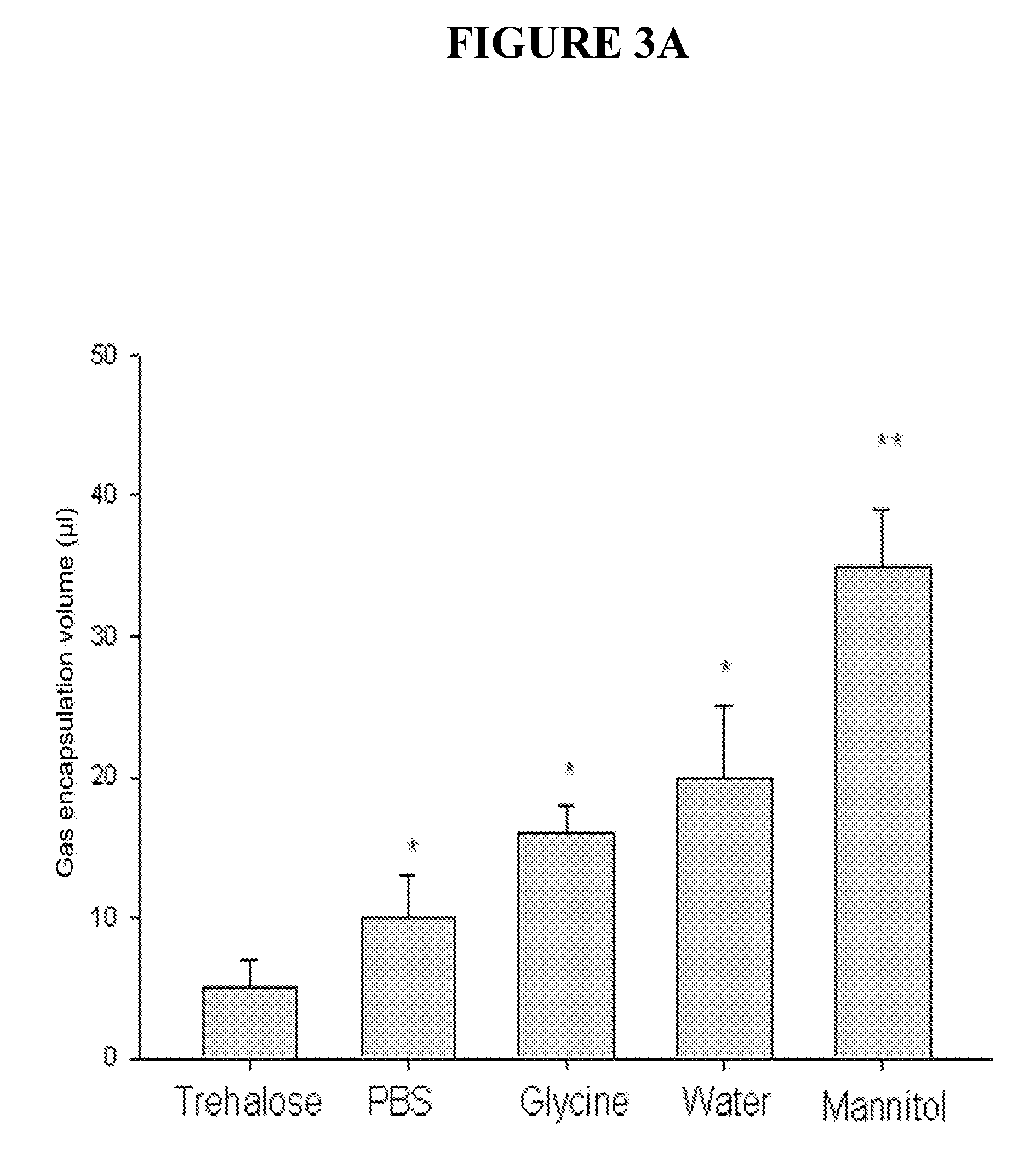 Gas-containing liposomes