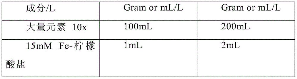 Agrobacterium rhizogenes mediated strawberry gene transferring method