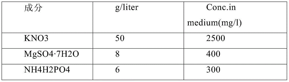 Agrobacterium rhizogenes mediated strawberry gene transferring method