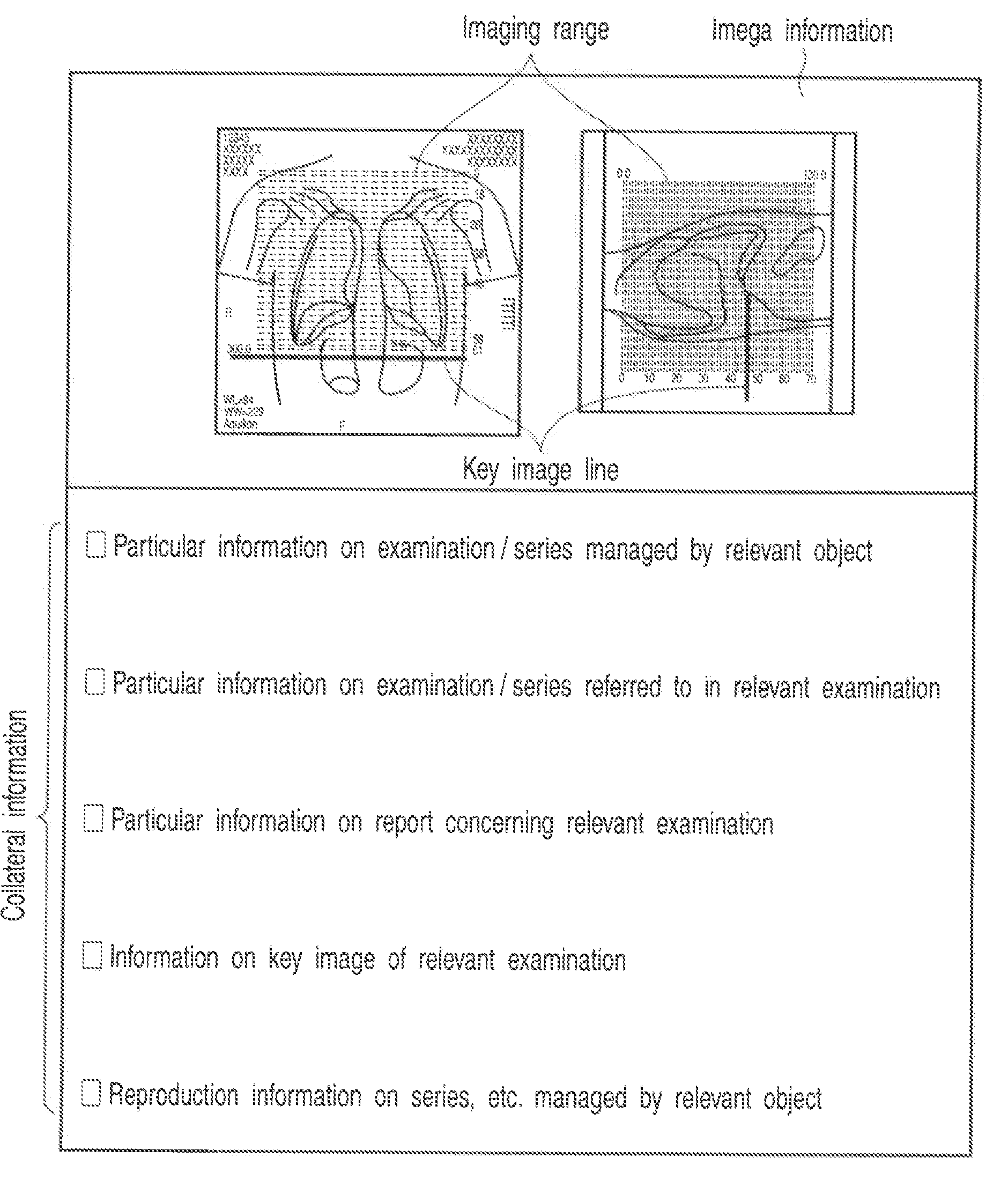 Image diagnosis support system