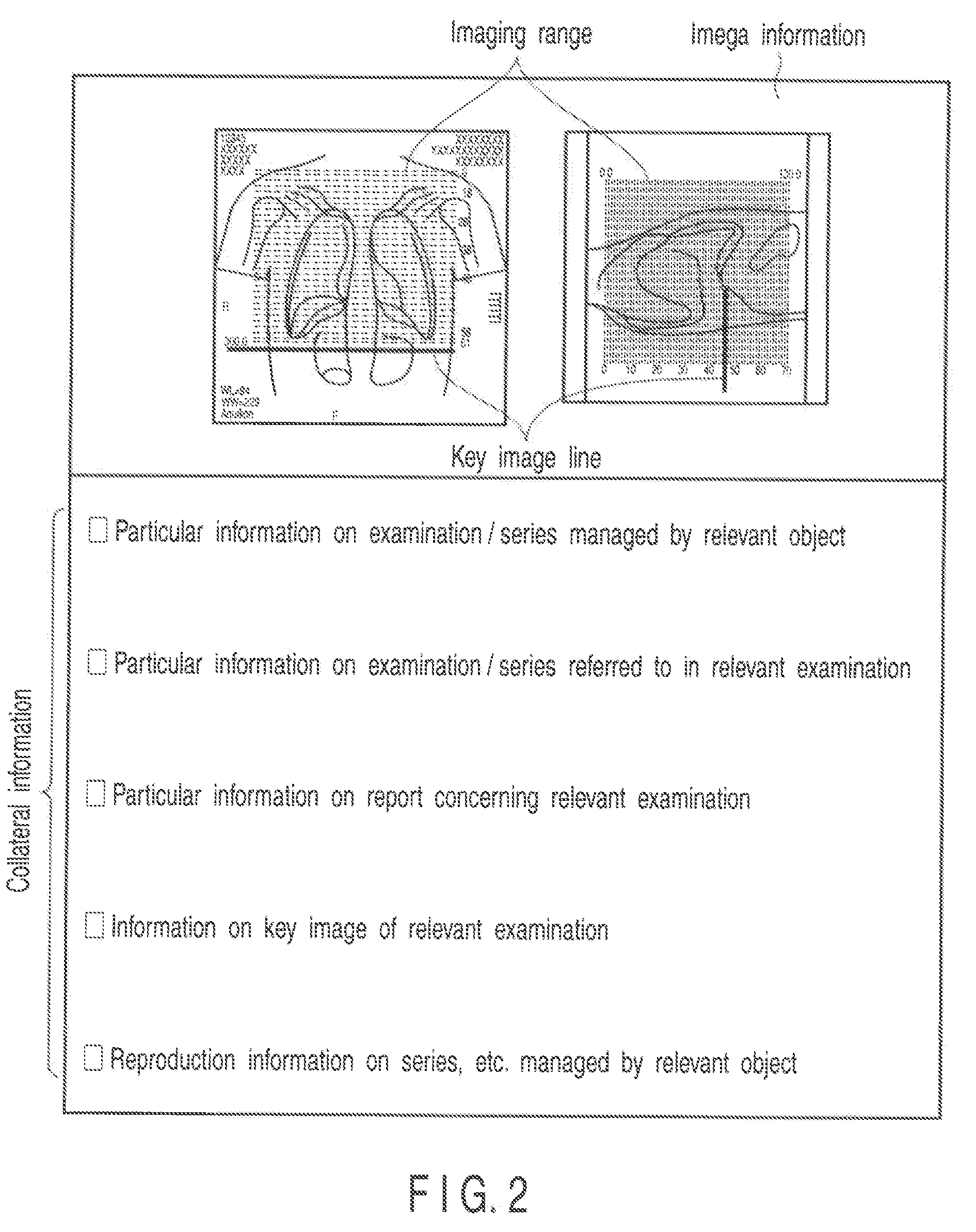 Image diagnosis support system