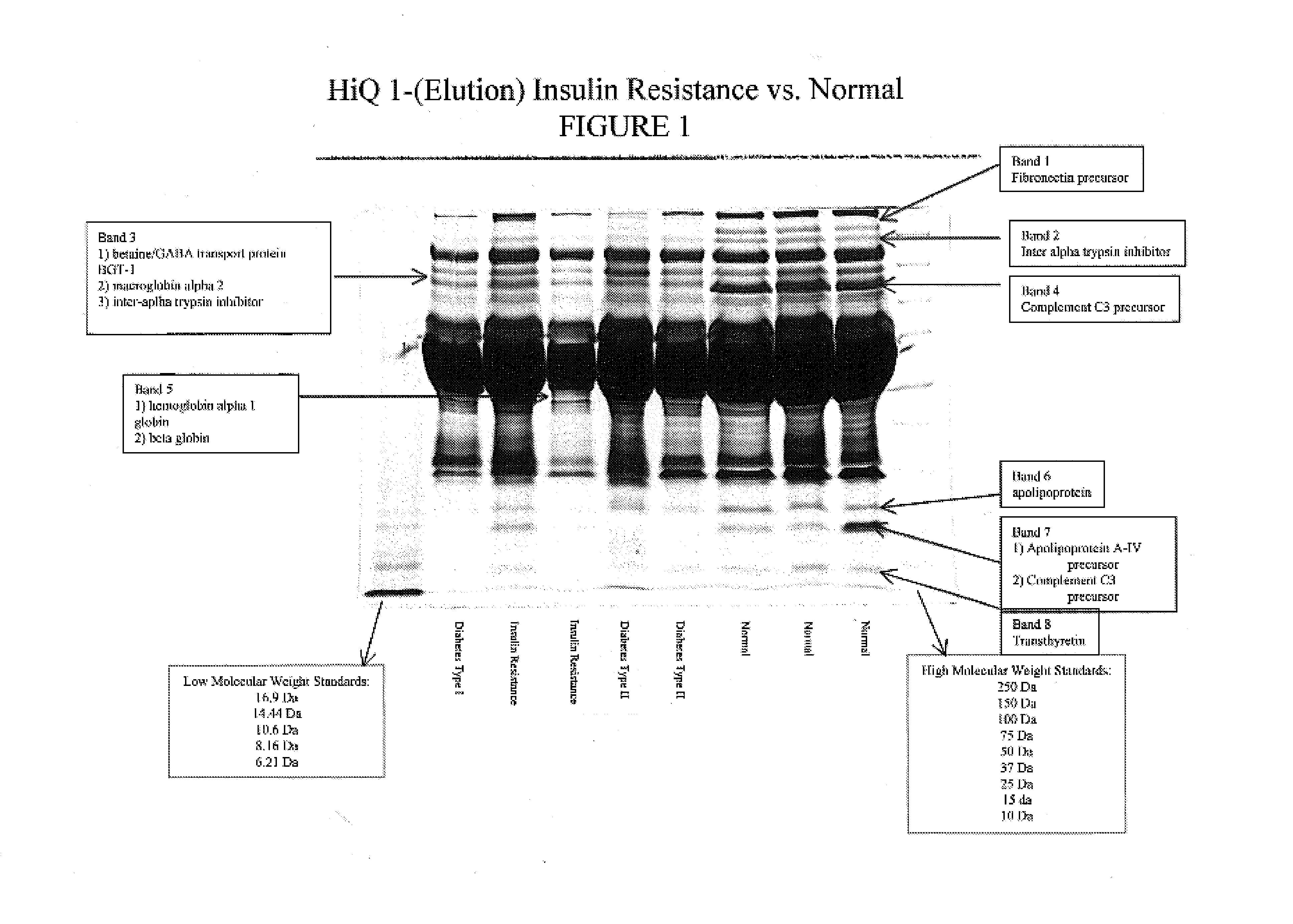 Betaine/GABA transport protein biopolymer marker indicative of insulin resistance