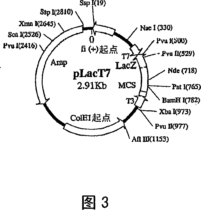 Uses of spatial configuration to modulate protein function