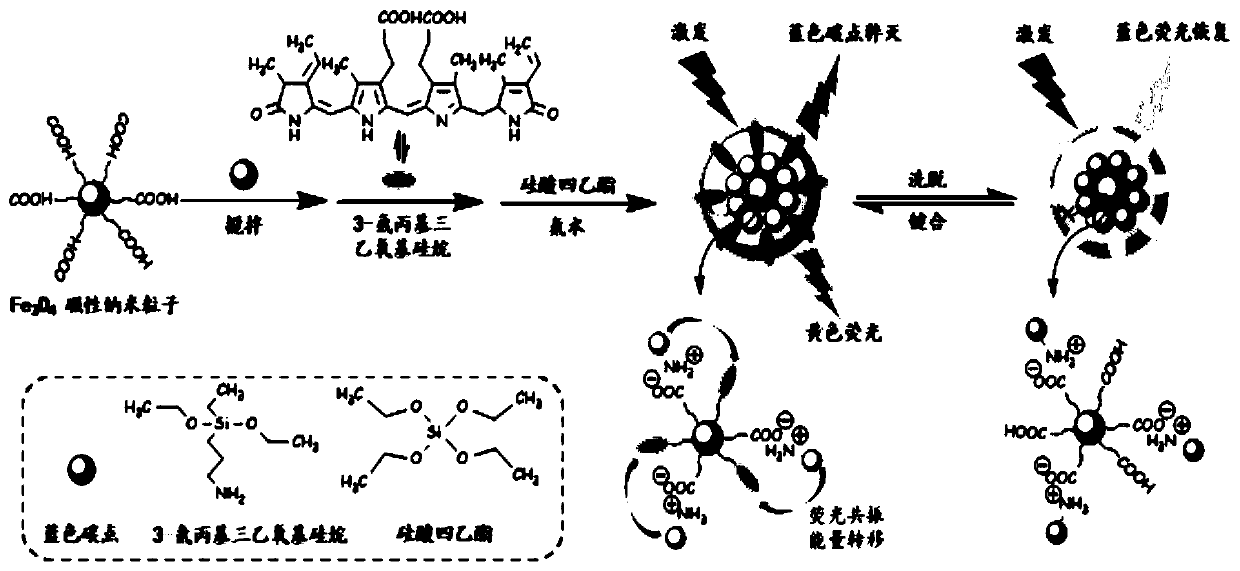 Preparation method of a phycoerythrin ratiometric fluorescent sensor