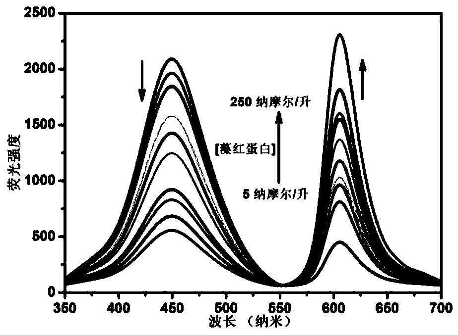 Preparation method of a phycoerythrin ratiometric fluorescent sensor