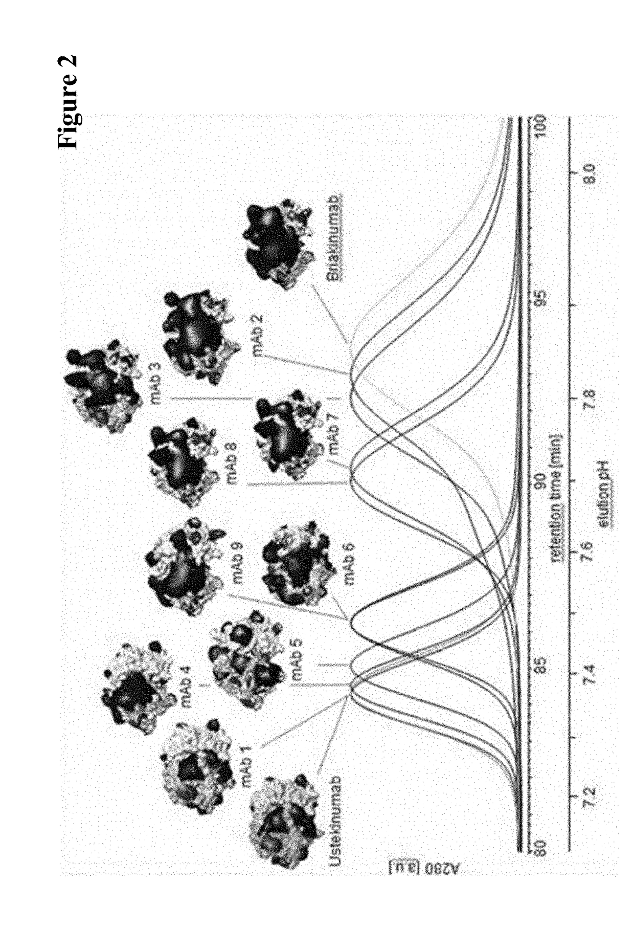 In vitro prediction of in vivo half-life