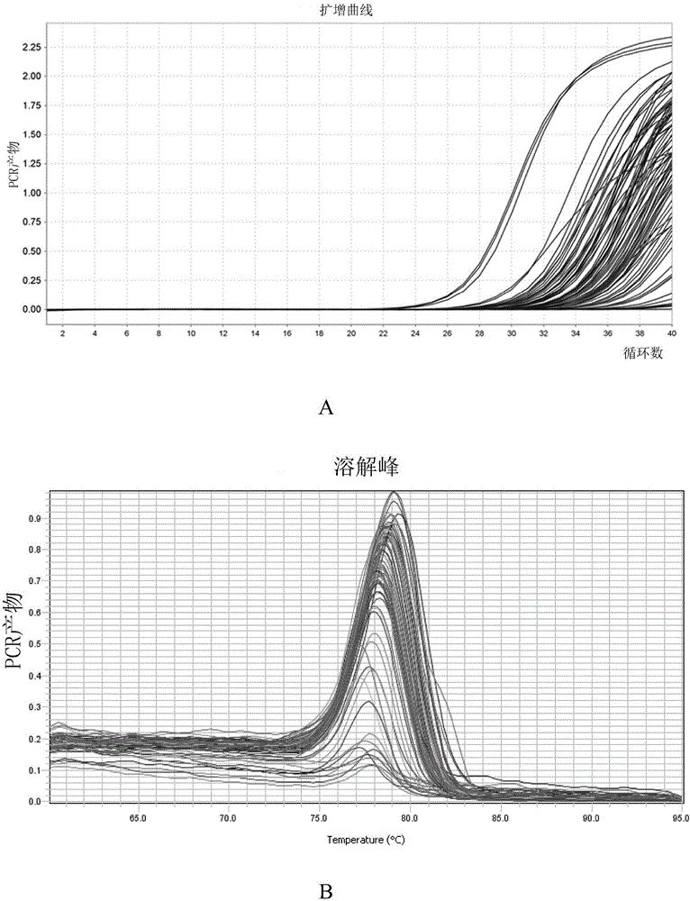 Application of JAM3 gene to preparation of colorectal cancer diagnosis kit and kit