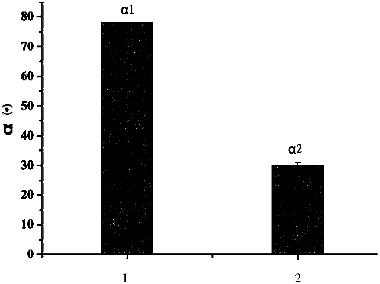 Modification method for functionalizing surface of material