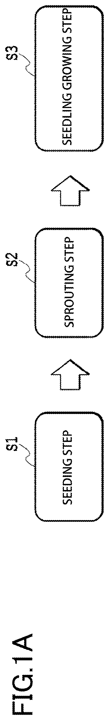 Hydroponics device and hydroponics method