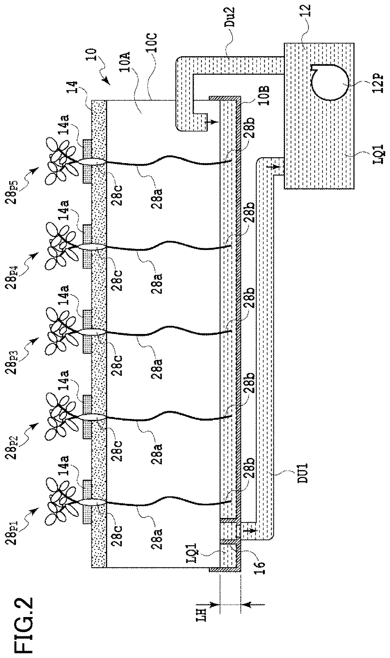 Hydroponics device and hydroponics method