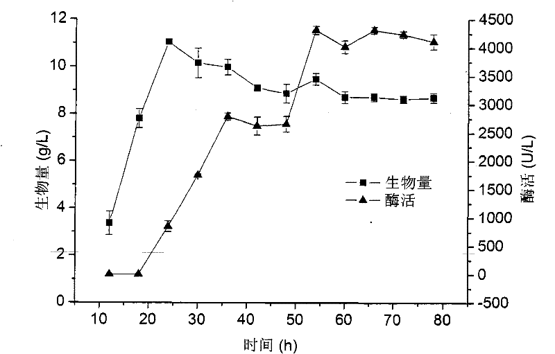 Screening of high-yield glycine strains and application thereof in nitrile compound conversion