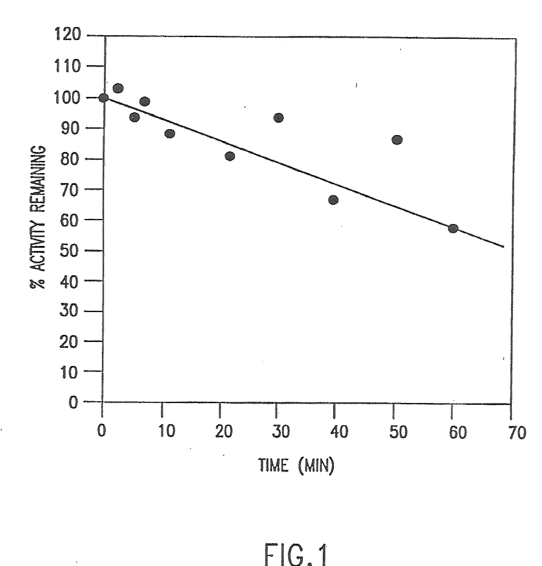 Cloned DNA polymerases from thermotoga and mutants thereof