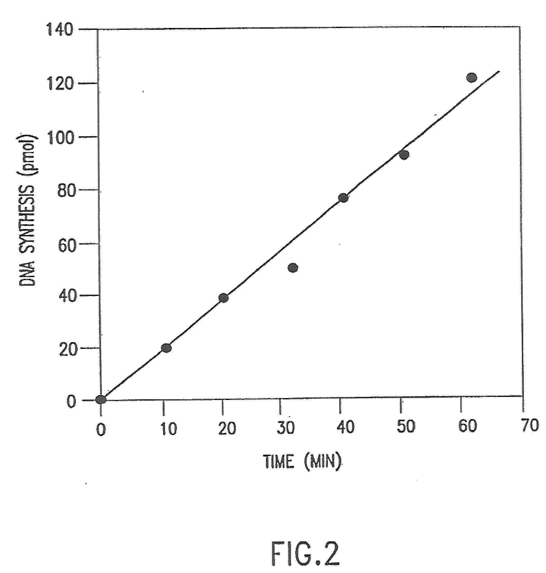 Cloned DNA polymerases from thermotoga and mutants thereof