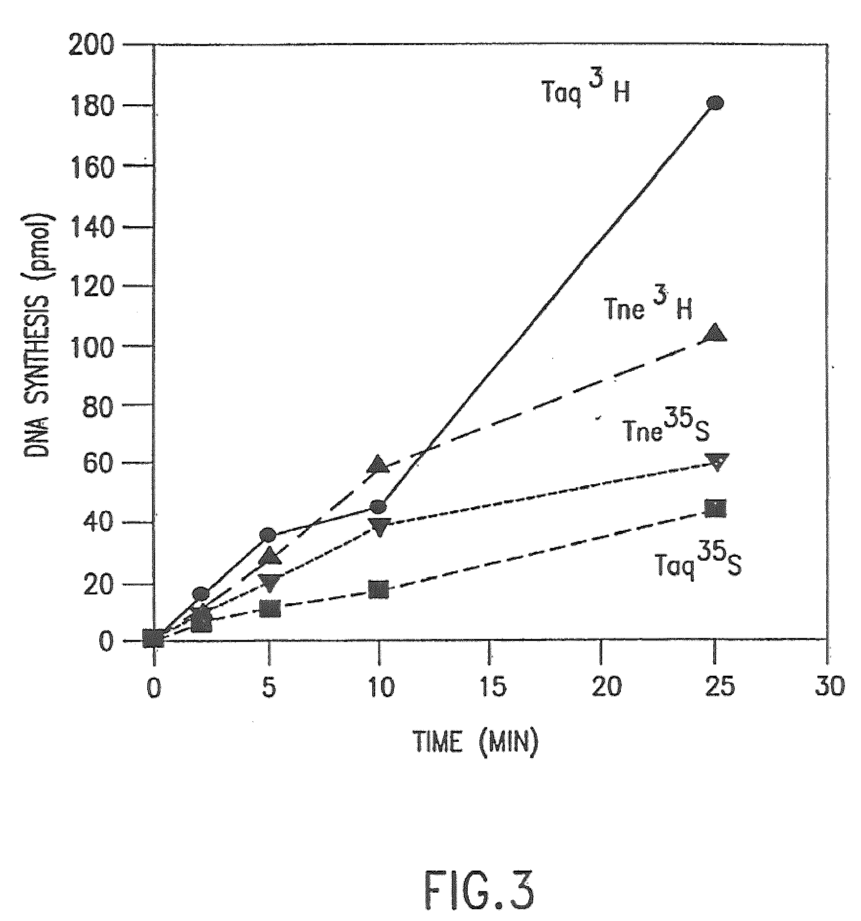 Cloned DNA polymerases from thermotoga and mutants thereof