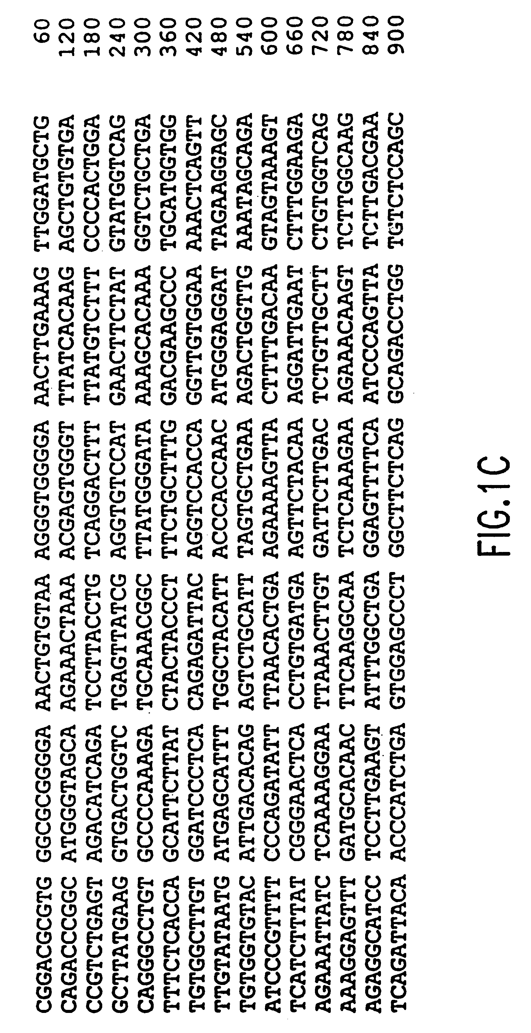 Rec 2 kinase