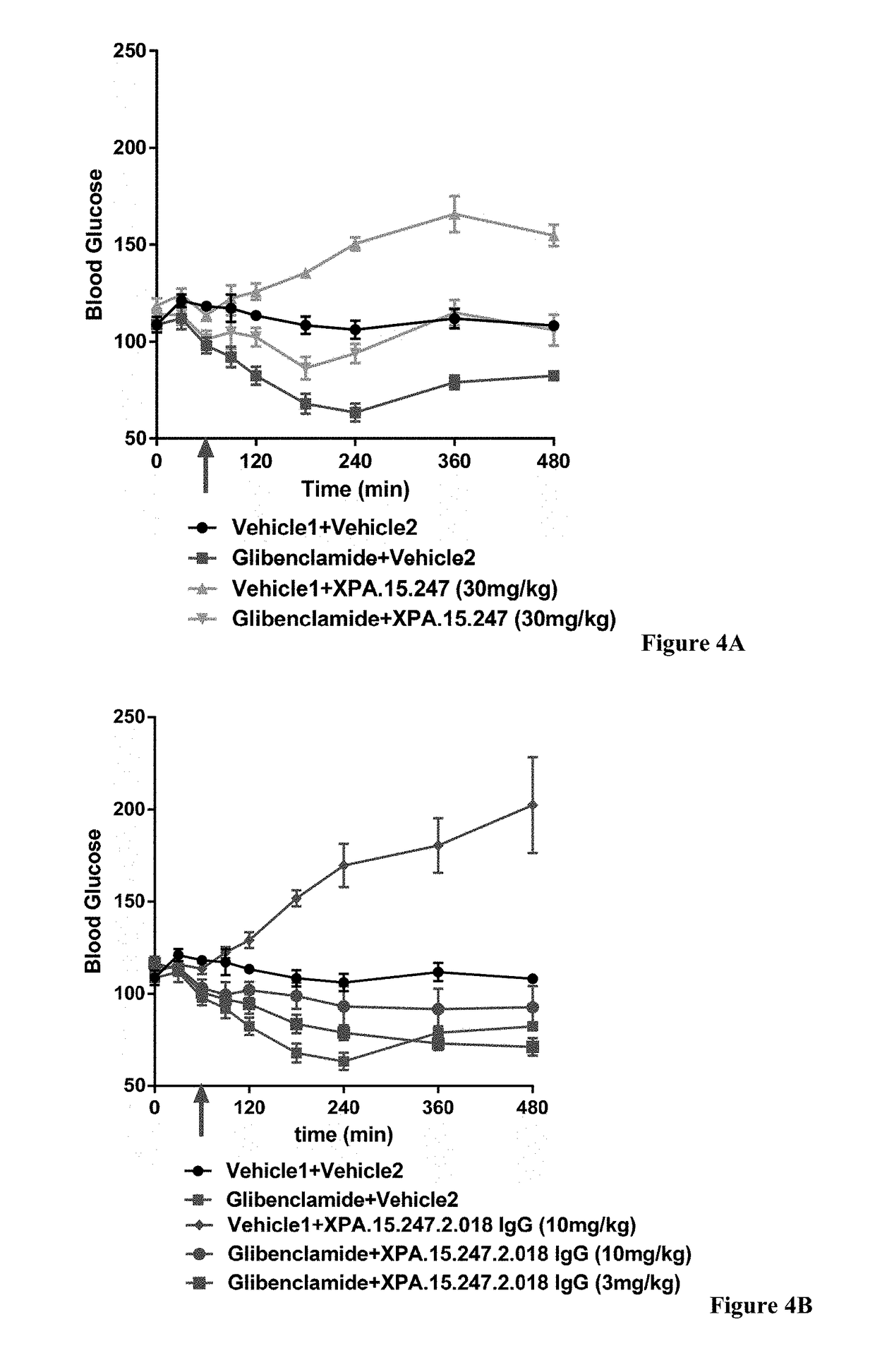 Antibody Fragments Against the Insulin Receptor and Uses Thereof to Treat Hypoglycemia