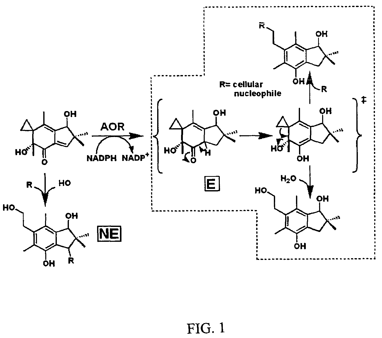 Bioactivation of alkylating agents for cancer treatment