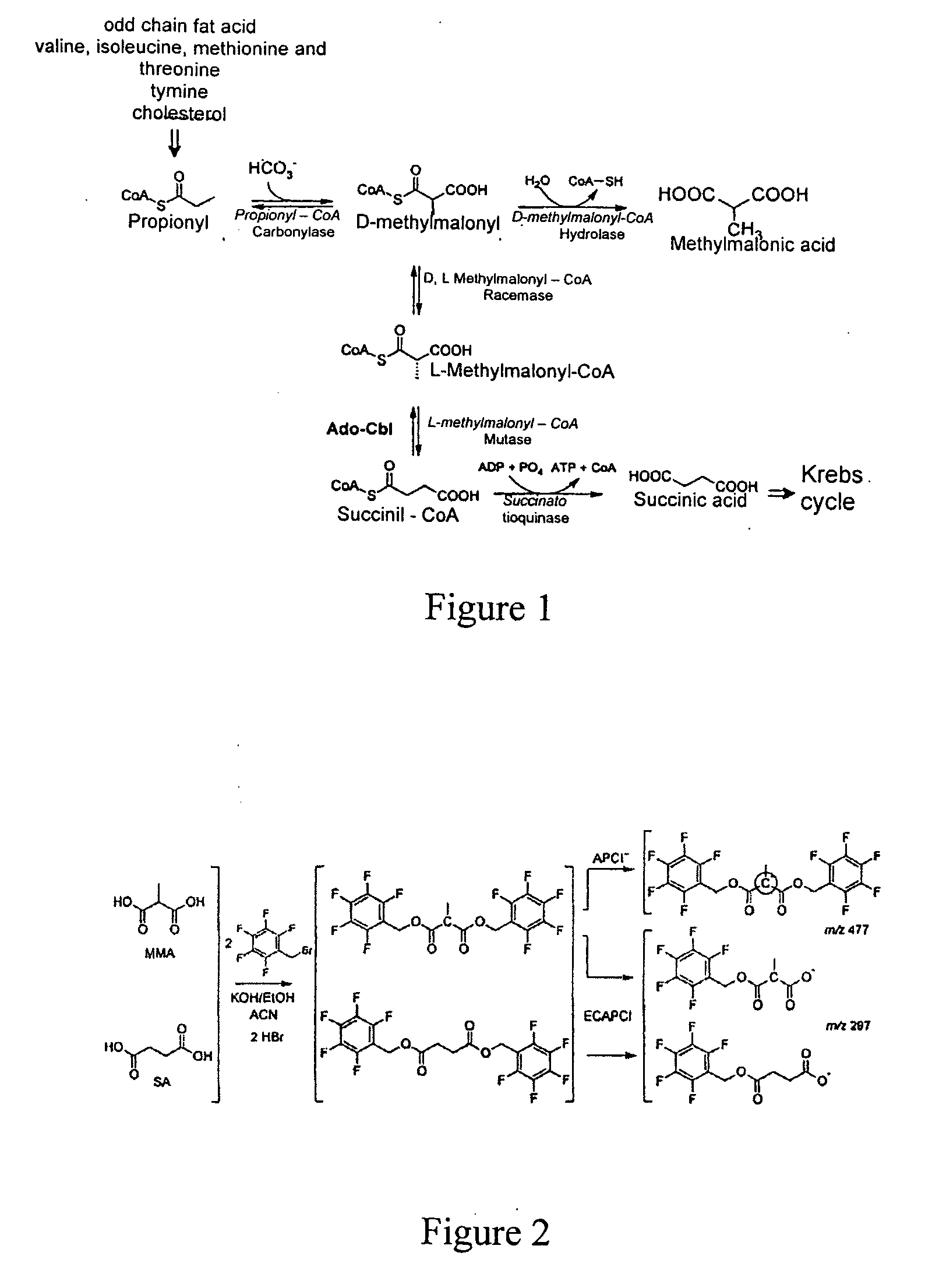 Method for methylmalonic acid detemination based on alkylative extraction associated to liquid chromatography coupled to mass spectrometry