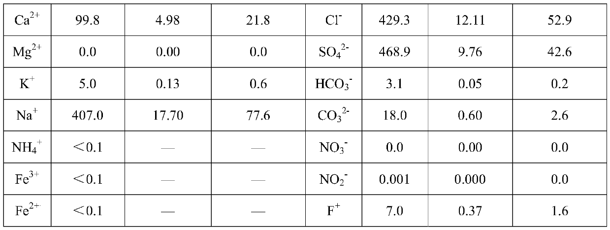 Pure natural plant bathing liquid and preparation method thereof