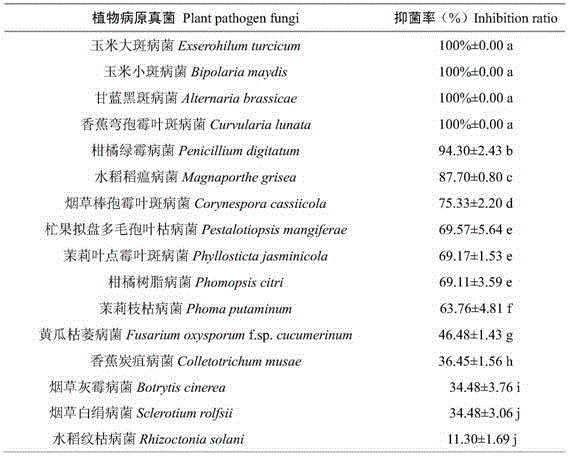 Application of leatherleaf mahonia leaf extract to production of agricultural bactericide