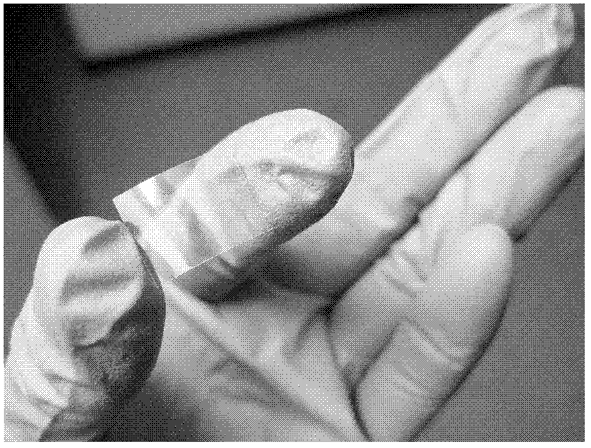 Method for preparing large-area flexible conductive film