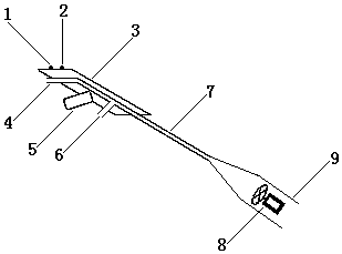 Vehicle two-side display system