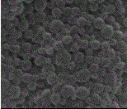 10-hydroxycamptothecine nanometer microsphere and preparation method thereof