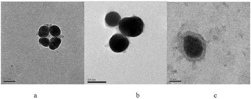 Detection method of aflatoxin b1 molecule SERS based on molecularly imprinted polymer gold-coated core-shell nanoparticles