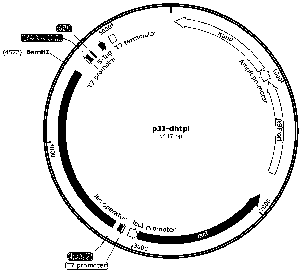 Biosynthesis method of levodopa