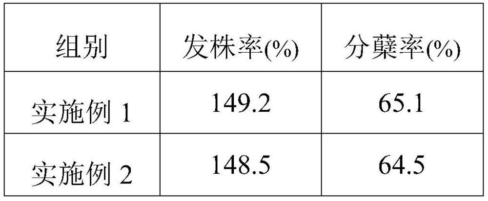 A kind of method for promoting the growth of ratoon sugarcane root system after machine harvesting