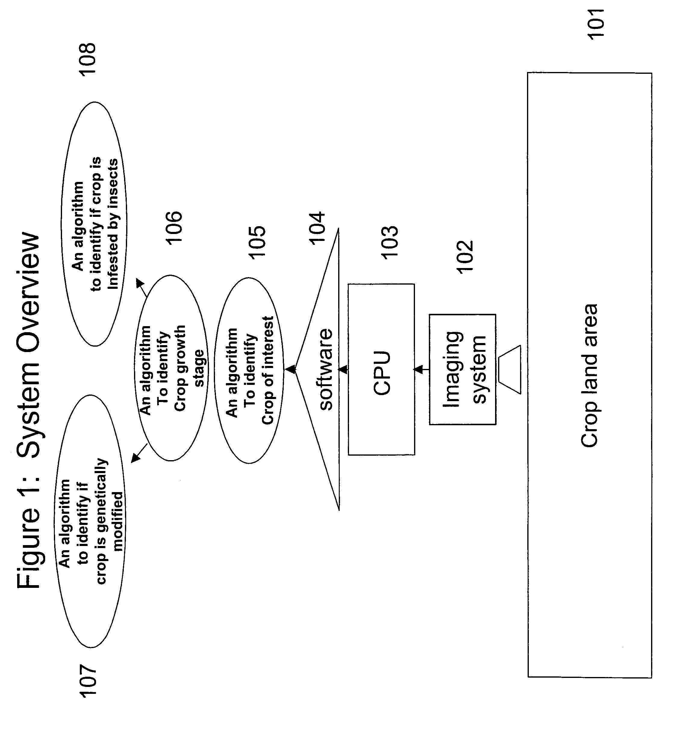 Optical system for plant characterization