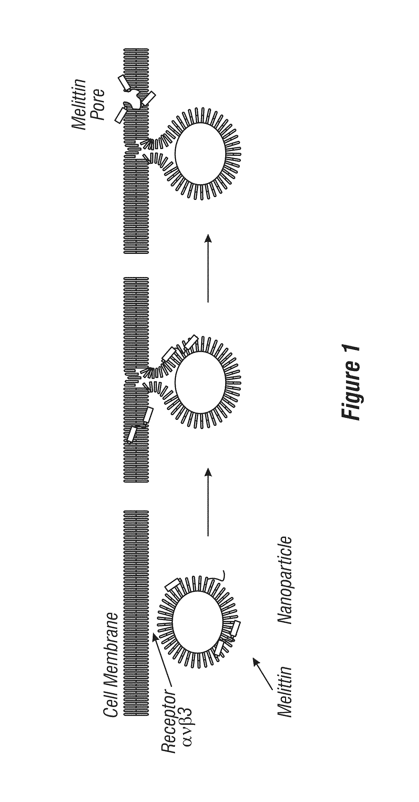 Nanoparticle delivery systems comprising a hydrophobic core and a lipid/surfactant layer comprising a membrane-lytic peptide