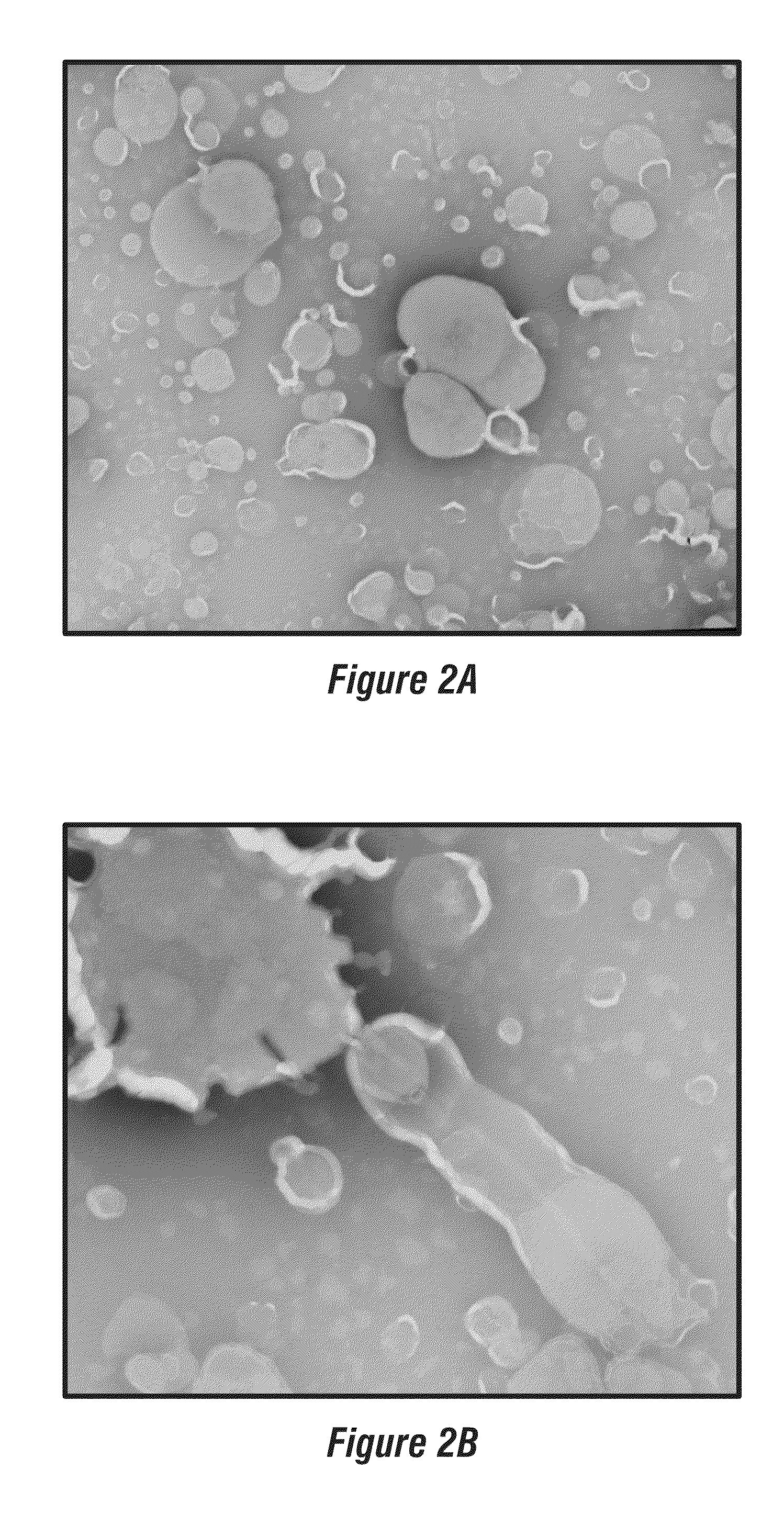 Nanoparticle delivery systems comprising a hydrophobic core and a lipid/surfactant layer comprising a membrane-lytic peptide