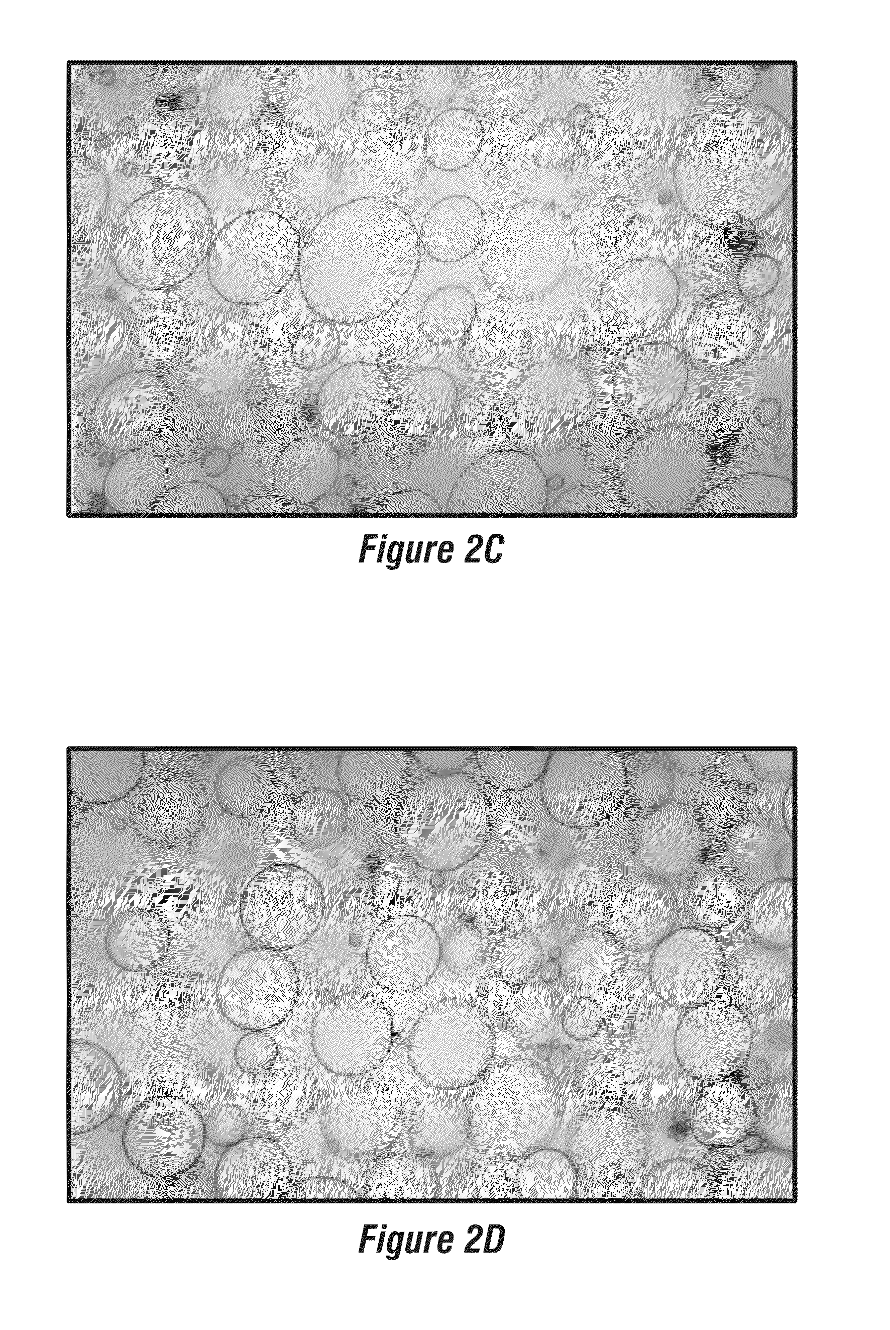 Nanoparticle delivery systems comprising a hydrophobic core and a lipid/surfactant layer comprising a membrane-lytic peptide