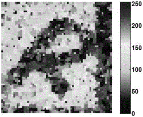 Method for increasing imaging quality of sparse constrained ghost radar