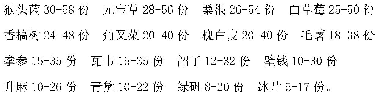 Medicine for treating oral cancer and preparation method of medicine