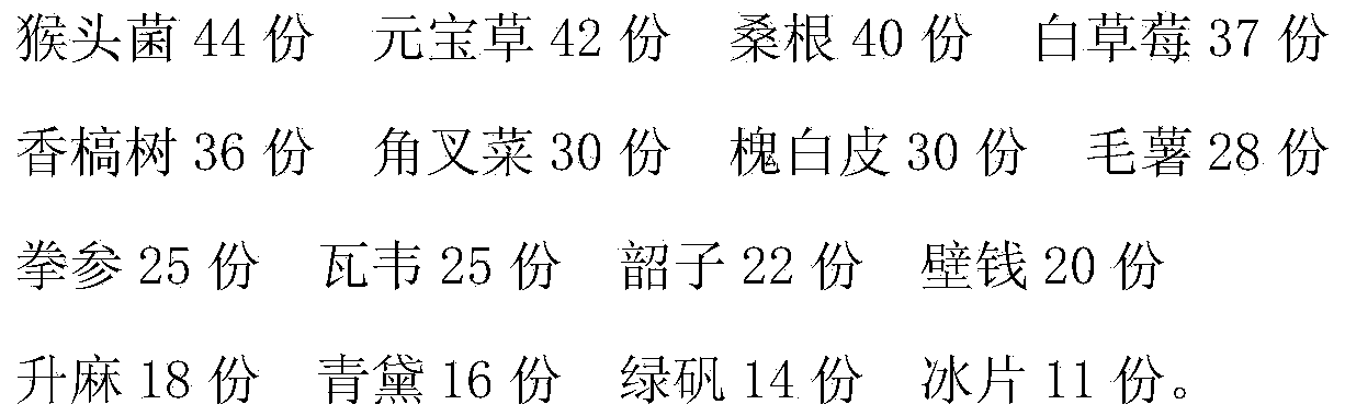 Medicine for treating oral cancer and preparation method of medicine