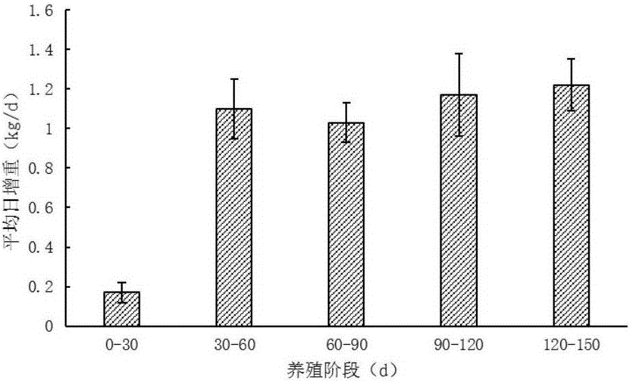 Method for preparing ramie ensilage feed