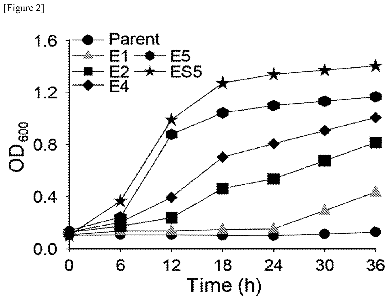 Microorganism for producing dicarboxylic acid, and method for producing dicarboxylic acid using same