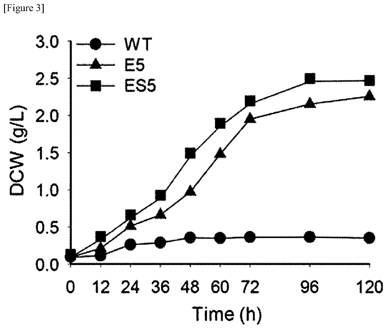 Microorganism for producing dicarboxylic acid, and method for producing dicarboxylic acid using same