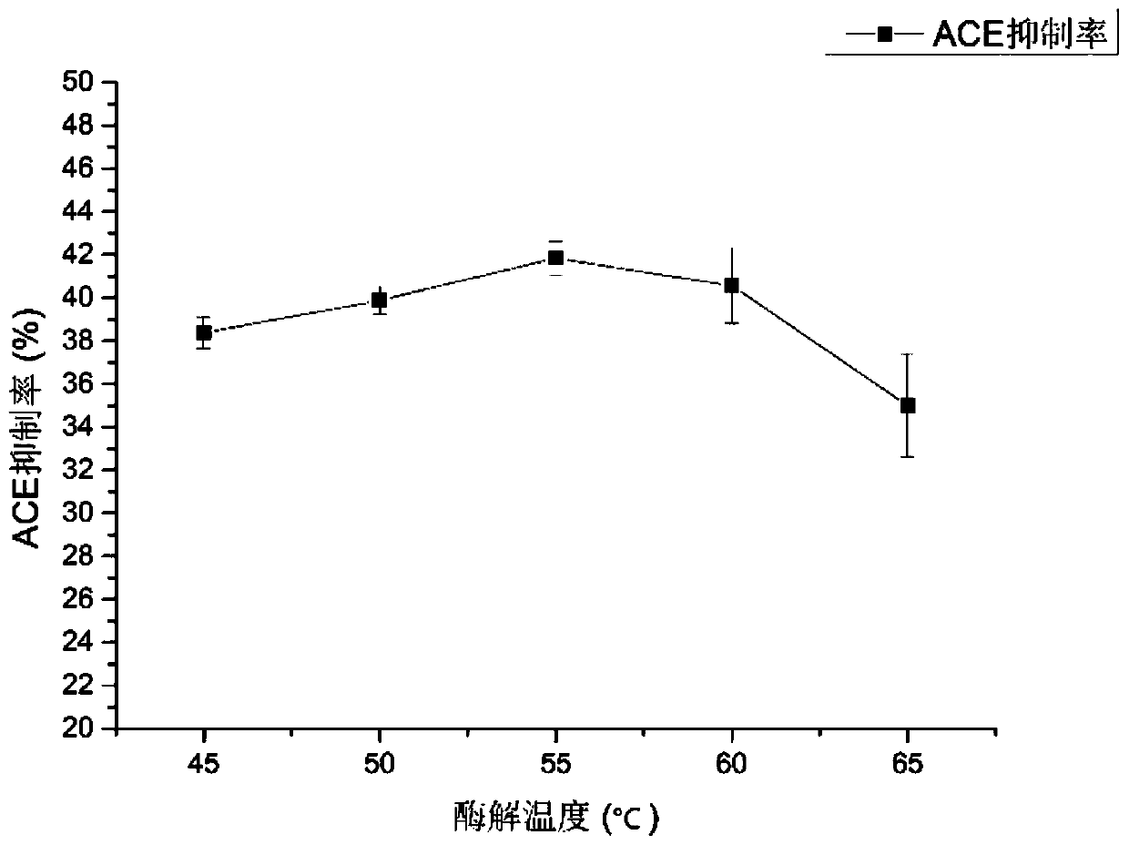 ACE inhibitory peptide P1 as well as application and preparation method thereof