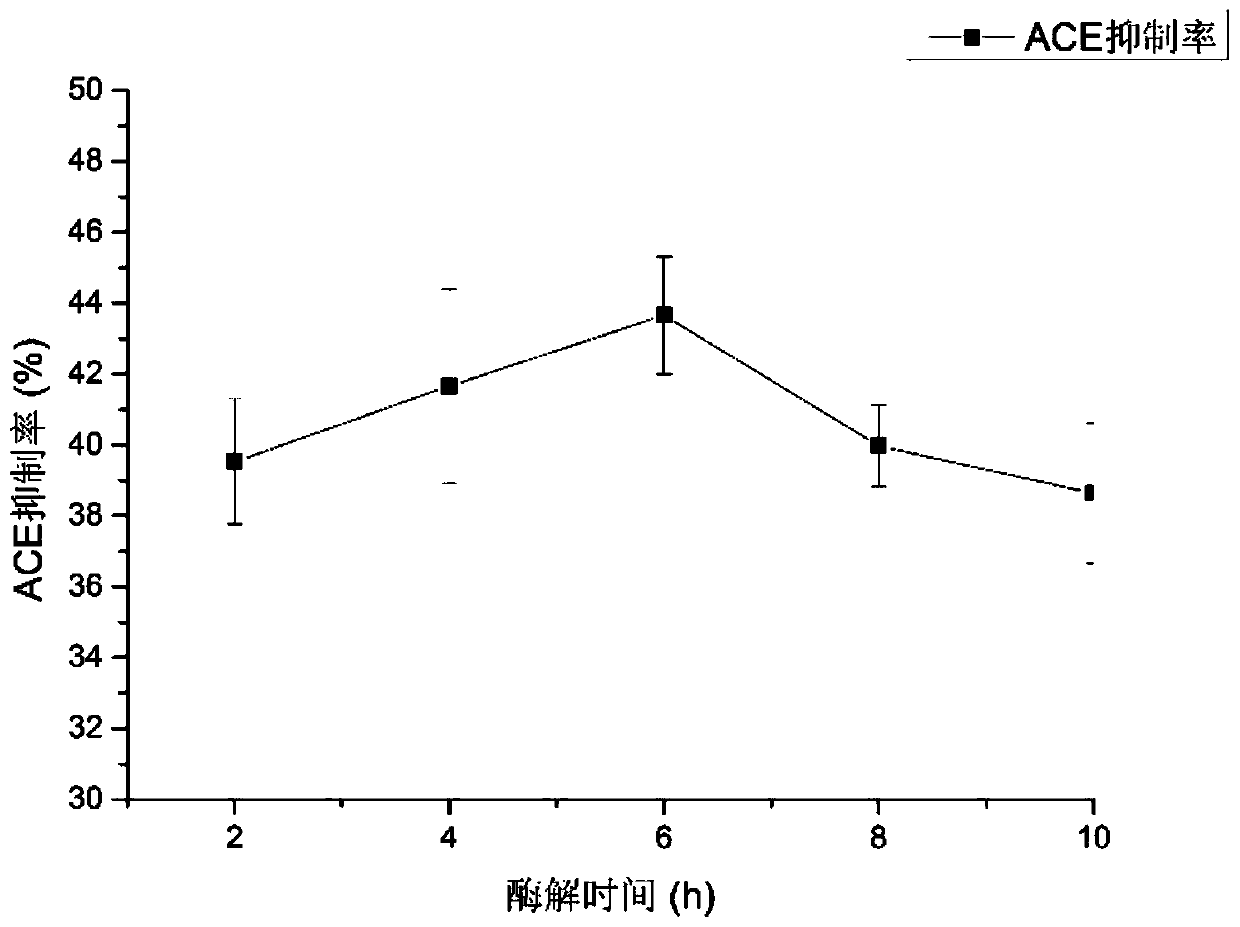 ACE inhibitory peptide P1 as well as application and preparation method thereof