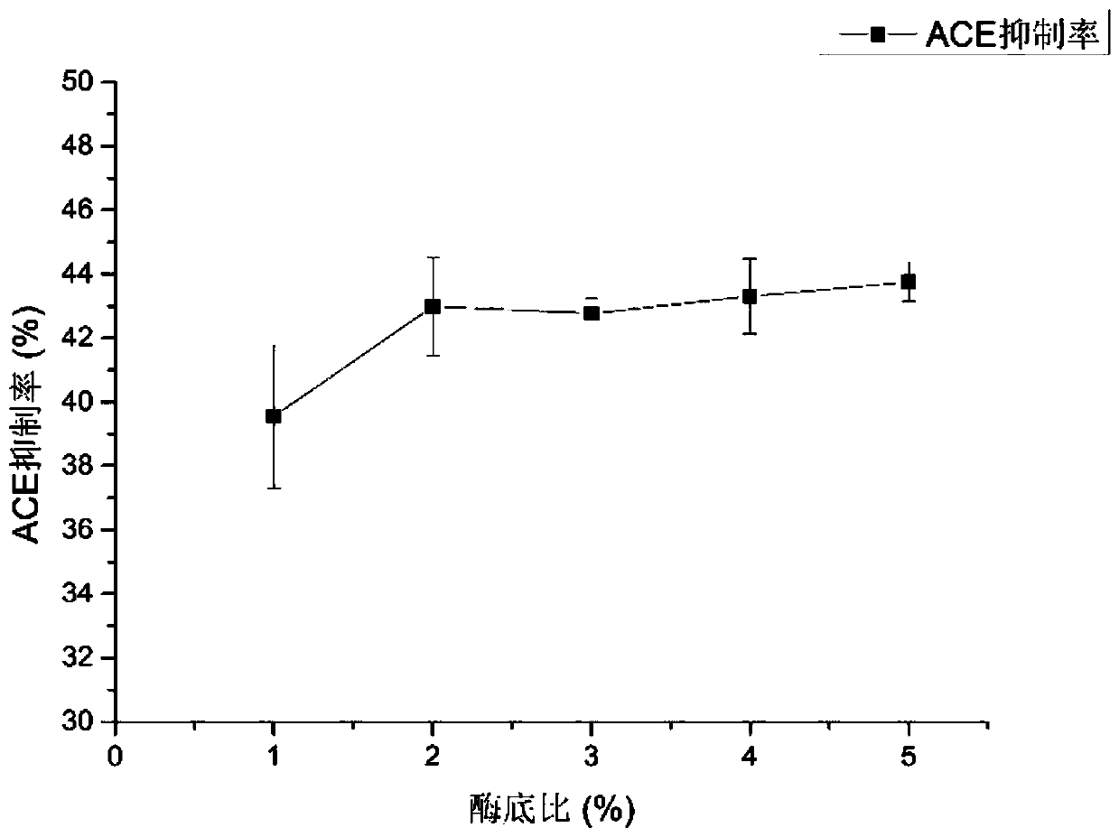 ACE inhibitory peptide P1 as well as application and preparation method thereof