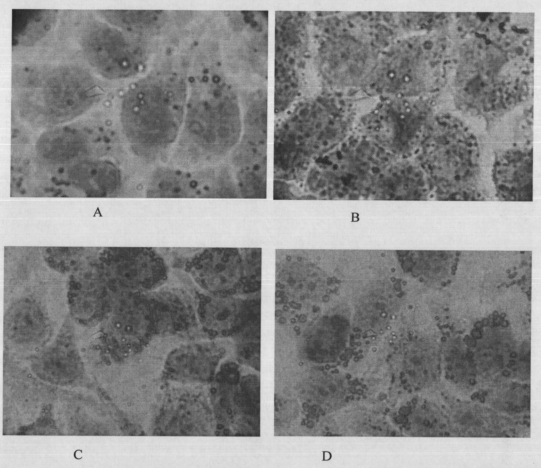 Preparation method and application of trans-crocetin