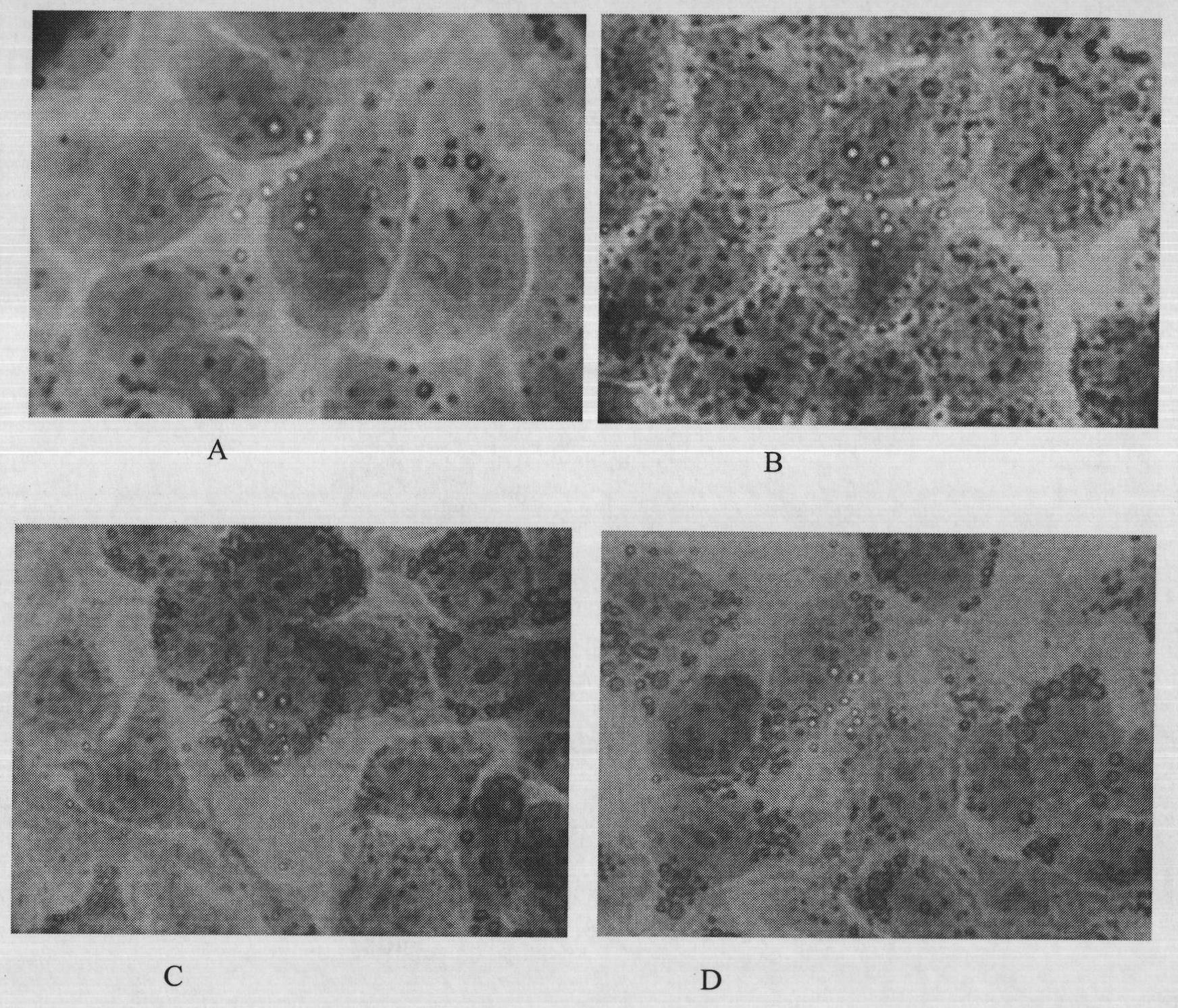 Preparation method and application of trans-crocetin