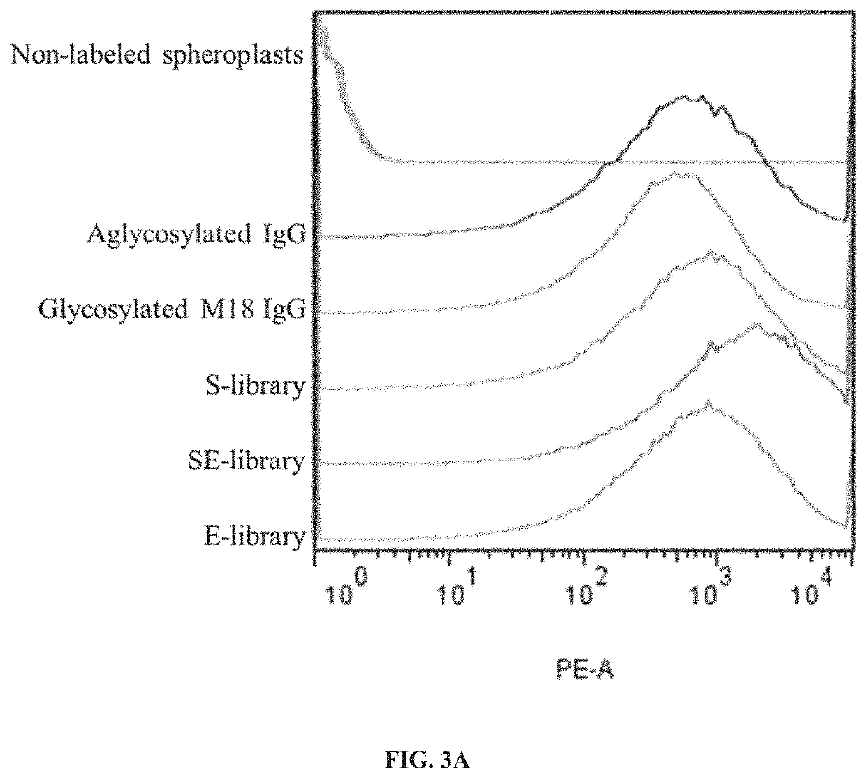 Engineered immunoglobulin fc polypeptides displaying improved complement activation