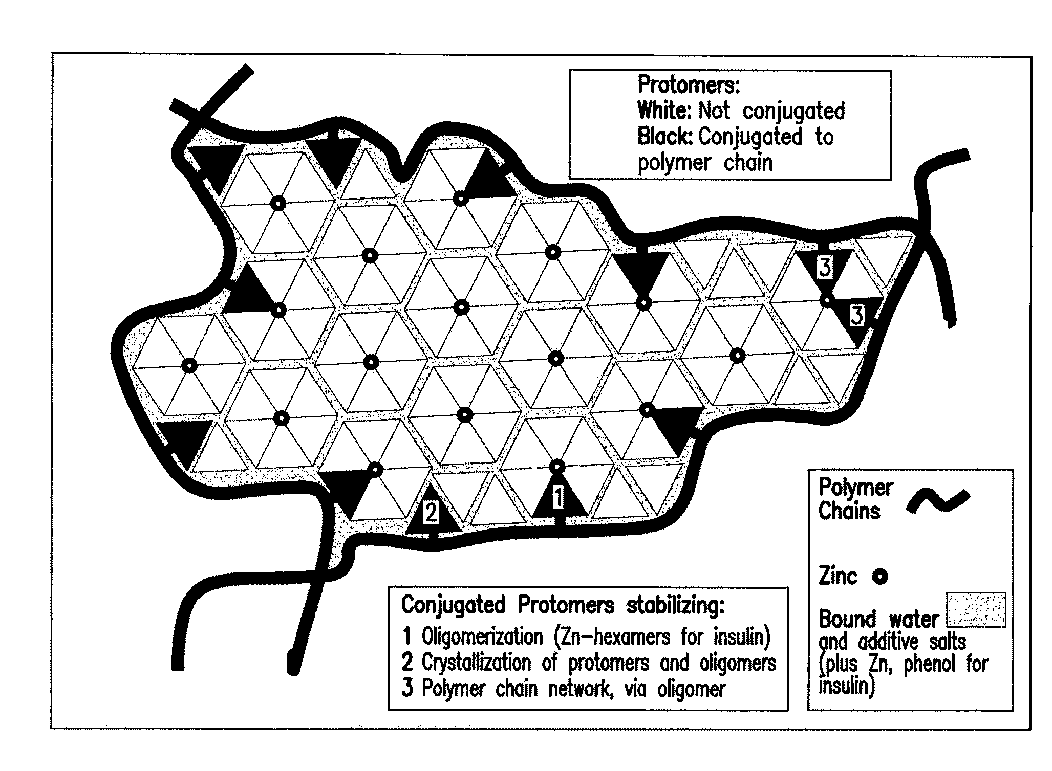 Polymer-stabilized liposomal compositions and methods of use