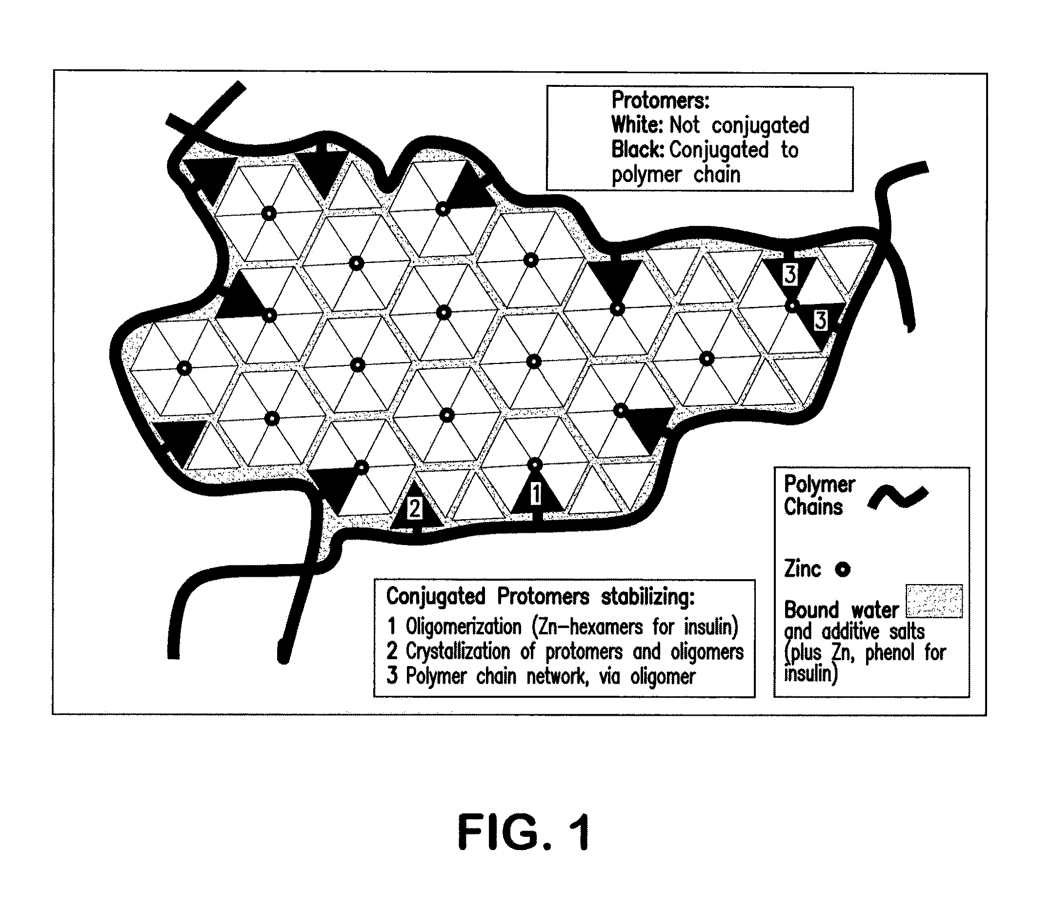 Polymer-stabilized liposomal compositions and methods of use