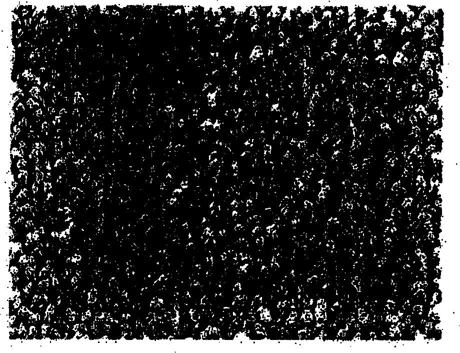 Photosensitive resin composition and method for the formation of a resin pattern using the composition